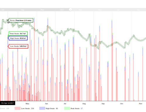 Focus Duration – What is it and how do I train with it?