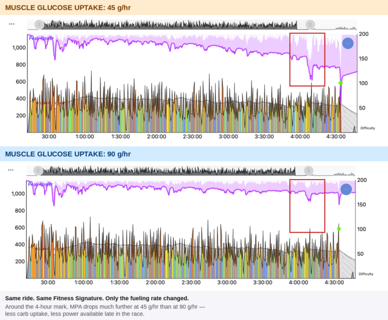 Modeled effect of 45 versus 90 grams of carbohydrate per hour on durability and MPA
