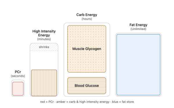 Four energy-system components represented in the Xert 2.0 metabolic model